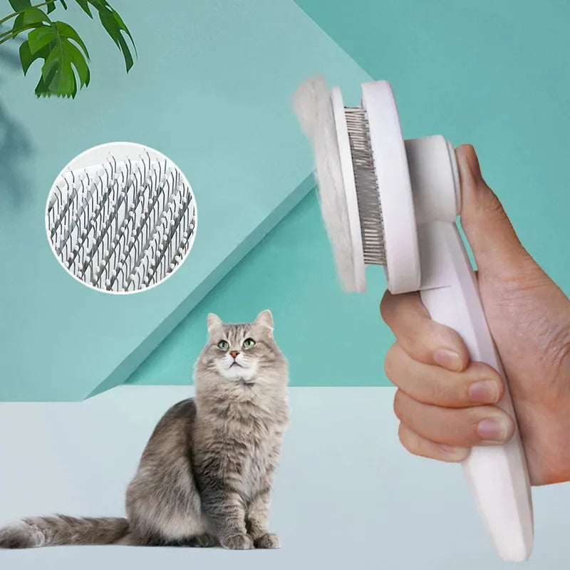 Brosse pour chat et animal de compagnie