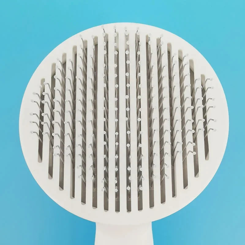 Brosse pour chat et chien