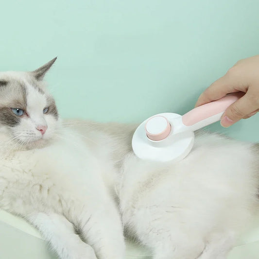 Brosse pour chat et chien